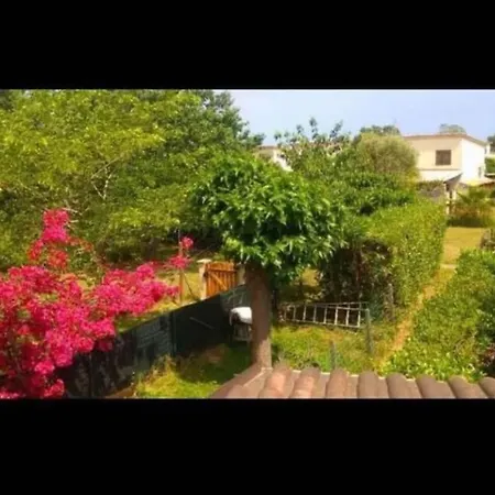 Casa Serena Avec Acces Direct Mer, Jardin Et Barbecue Holiday home Poggio Mezzana